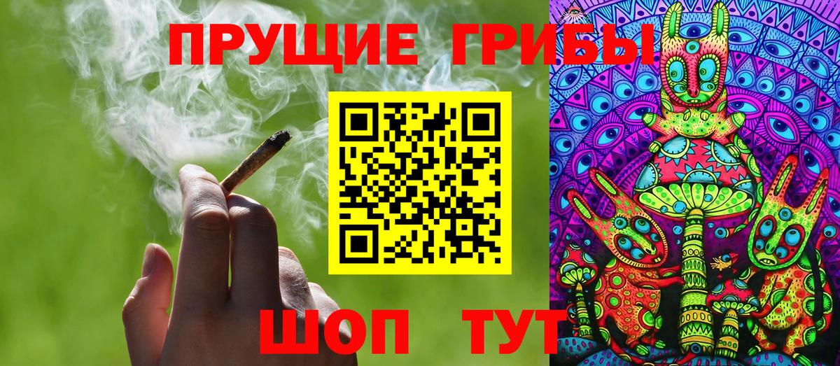 Галлюциногенные грибы Psilocybe  Вход с VPN  Кирово-Чепецк  Галлюциногенные грибы Magic Shrooms 