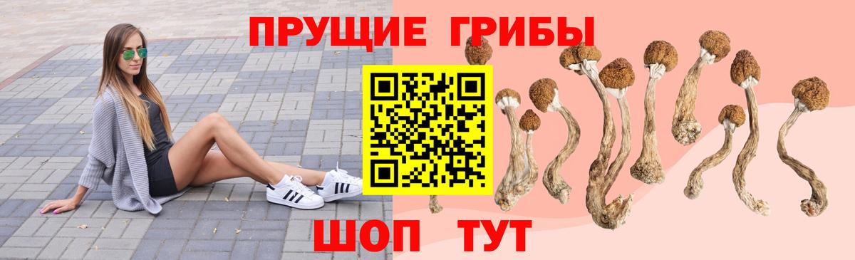 Галлюциногенные грибы Psilocybe Кирово-Чепецк